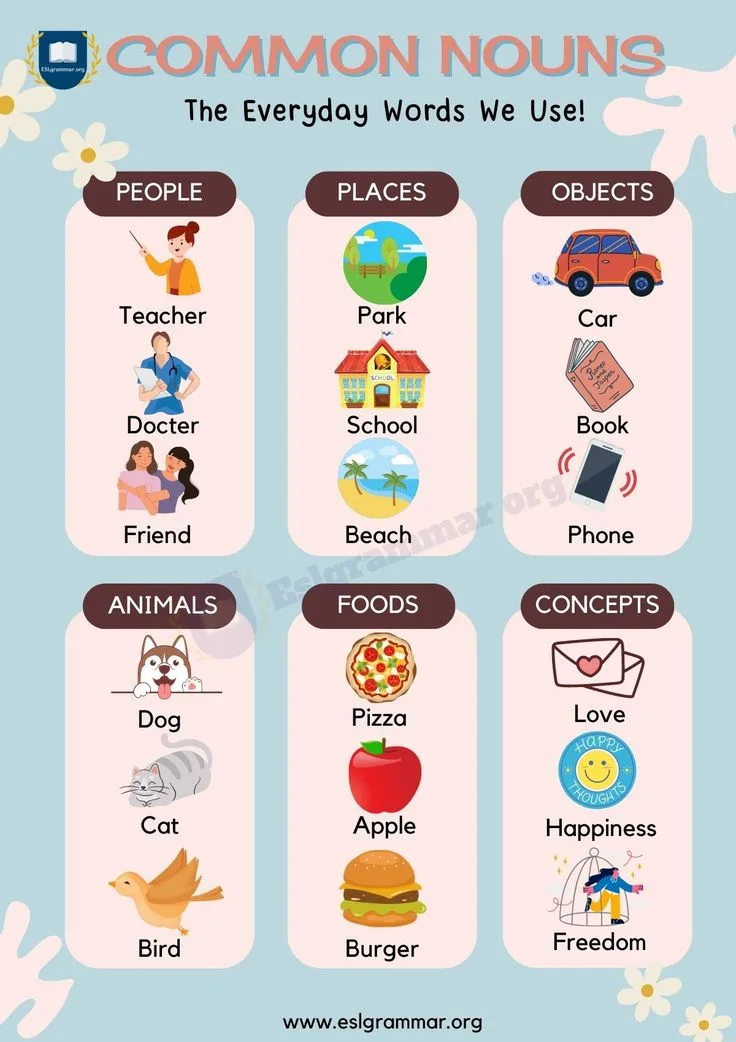 Common Nouns Definition Usage Useful Examples Esl Grammar Common Nouns Common Nouns