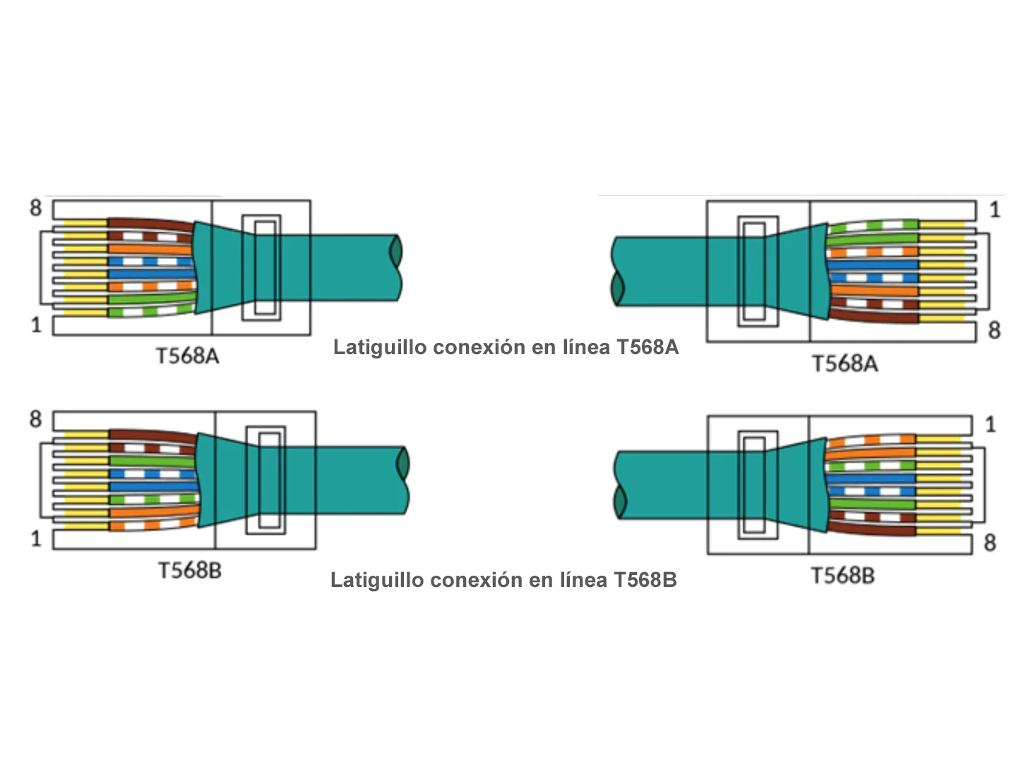 Cómo Conectar Los Conectores Rj45