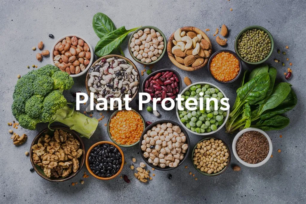 Complete Protein Combinations Chart For Vegans Fit Vegan Guide