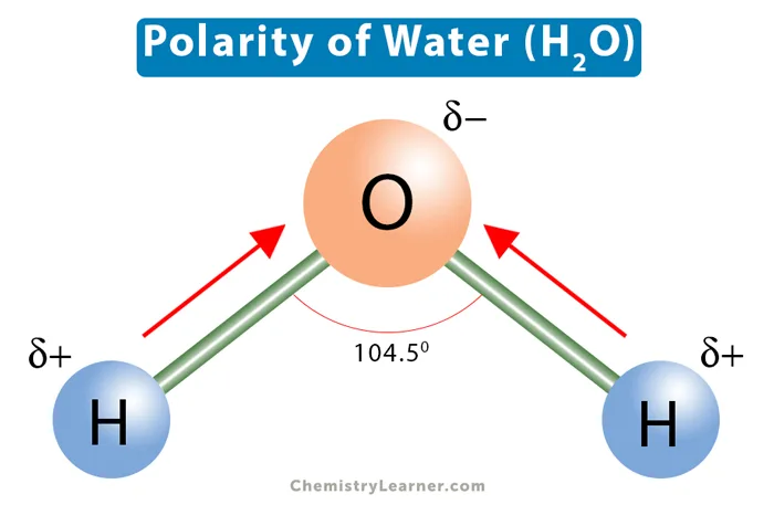 Complete Water Molecule Diagram With Partial Changes And Dip