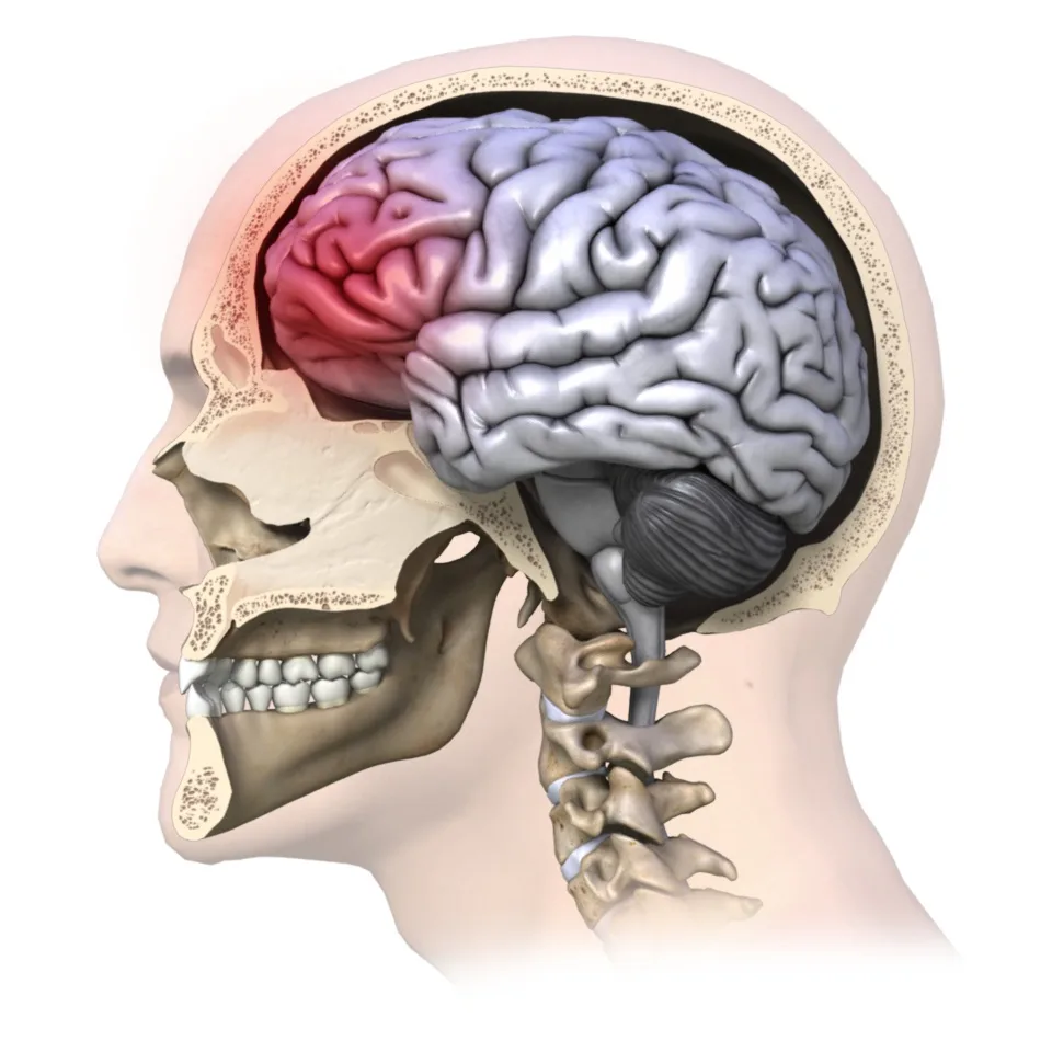 Concussion Rehab My Patient