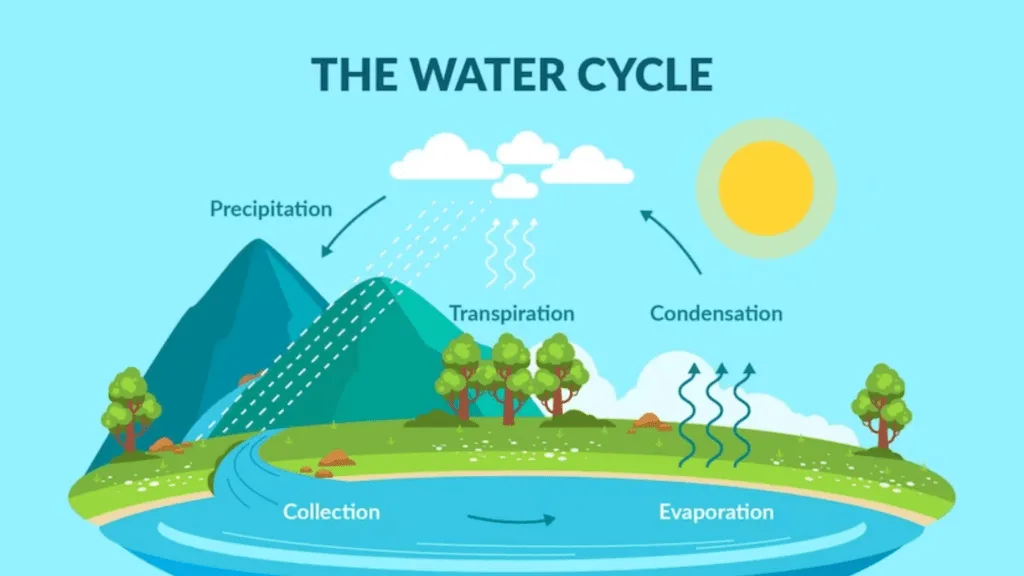 Cycles In Matter And Water Doerdo