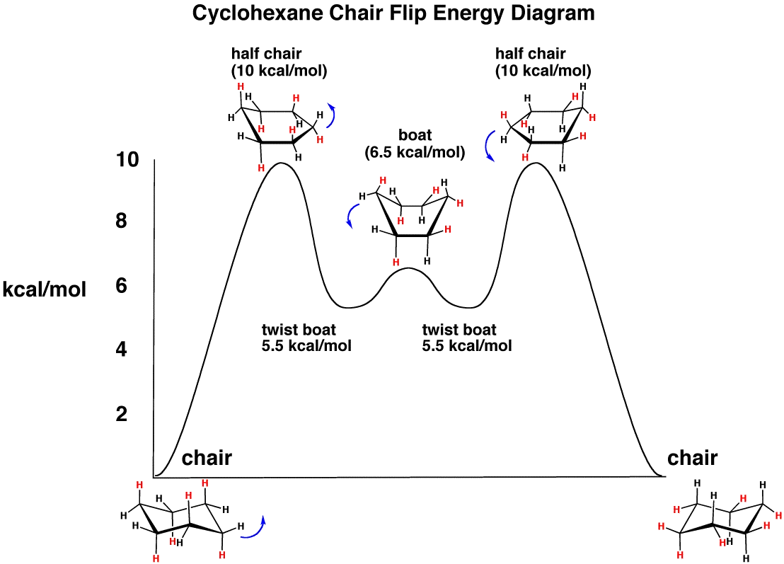 Cyclohexane Diagram