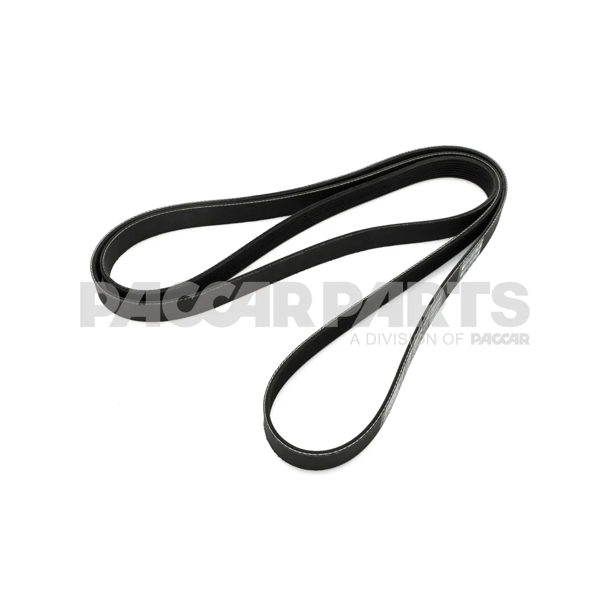 D84 1000 3082875 Kenworth Belt Poly 8 Ribs X 2875 Orion Hd Plystr Source One Parts Center