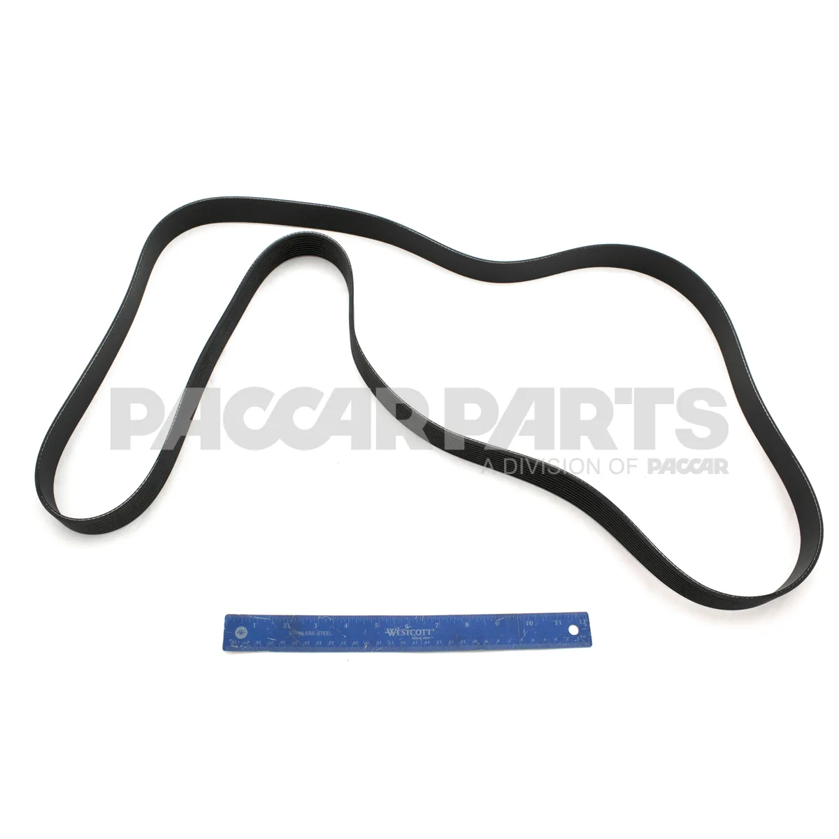 D84 1000 6102340 Kenworth Belt Poly 10 Ribs X 2340 End Plystr Source One Parts Center