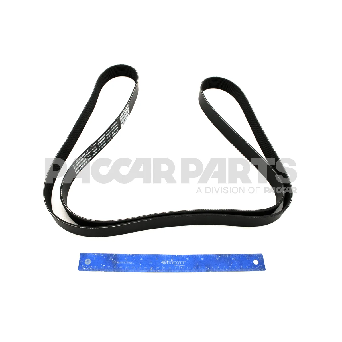 D84 1000 6102565 Kenworth Belt Poly 10 Ribs X 2565 End Plystr Source One Parts Center