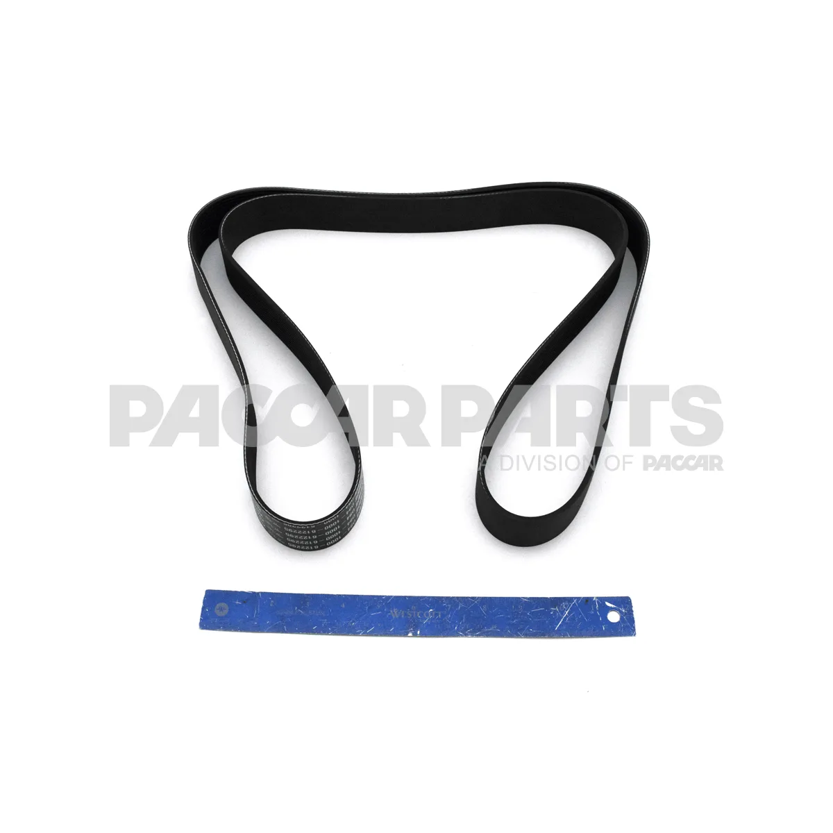 D84 1000 6122295 Kenworth Belt Poly 12 Ribs X 2295 Plystr Source One Parts Center