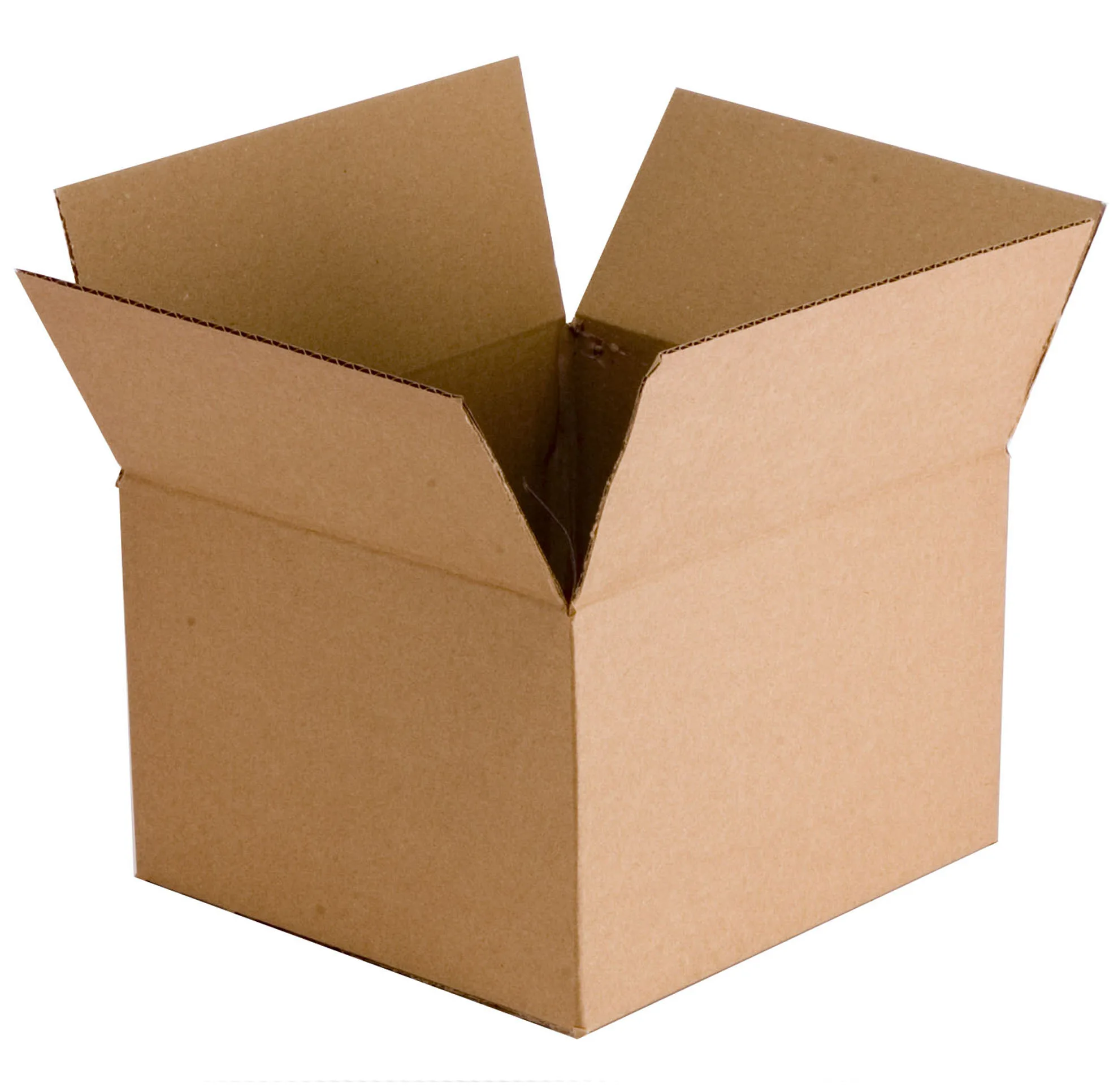 Day 173 The Box Petrina Binney Author