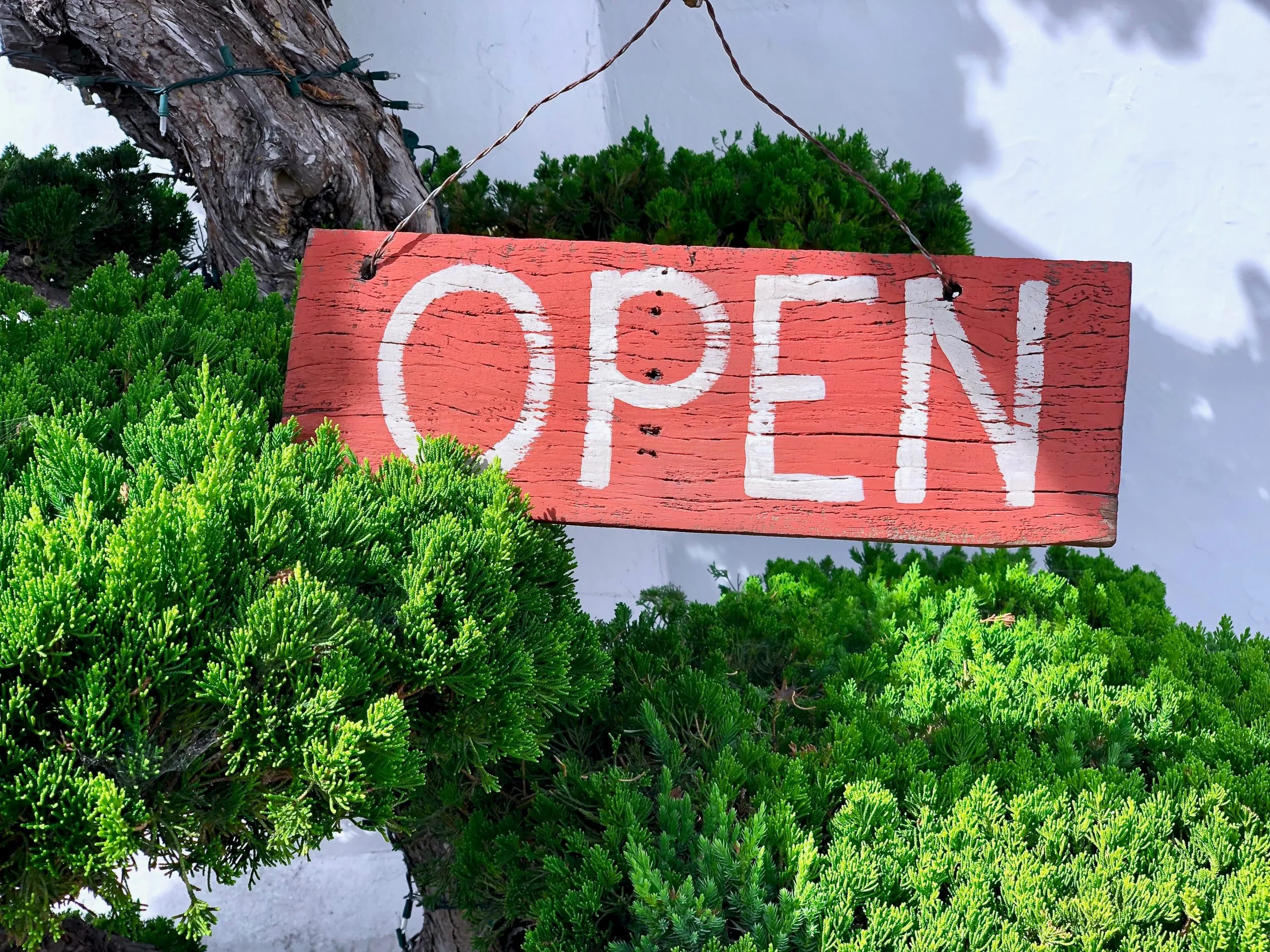 Dbt Skills Access Group Open Now Center For Behavioral Medicine