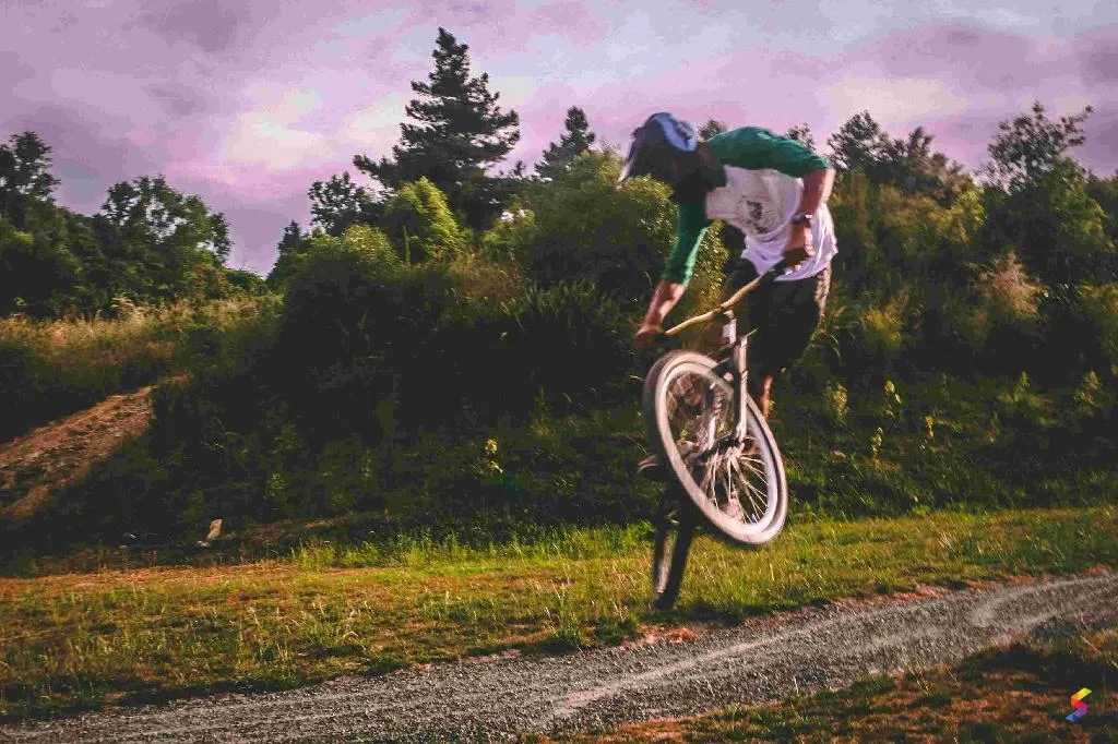 Define Stunt Stunt Meaning Stunt Examples Stunt Synonyms Stunt Images Stunt Vernacular