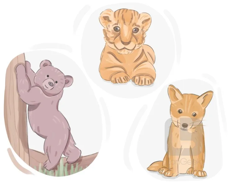 Definition Meaning Of Cub Langeek