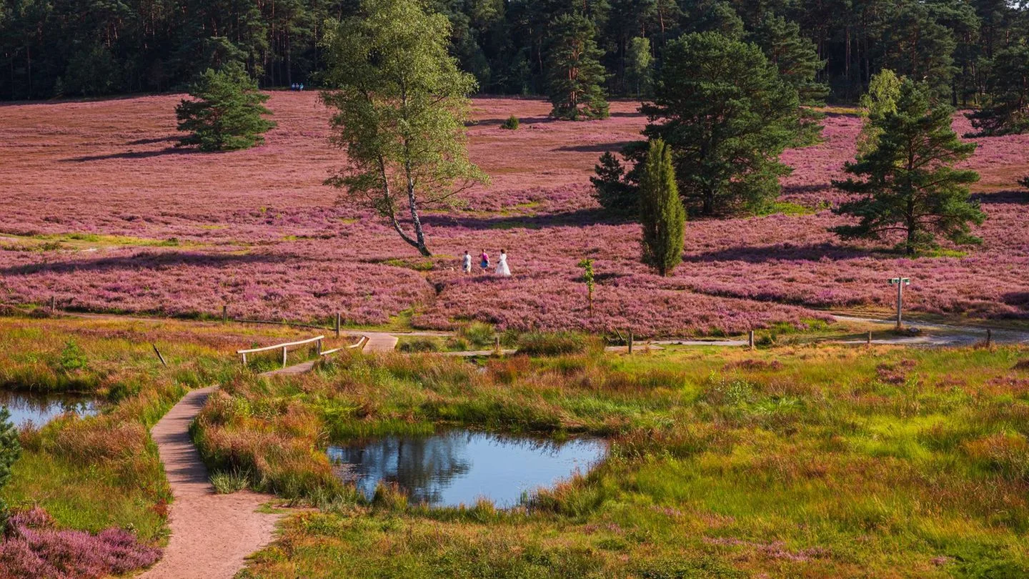 Deutschlands Schönste Wanderwege 2025 Stehen Fest Geo