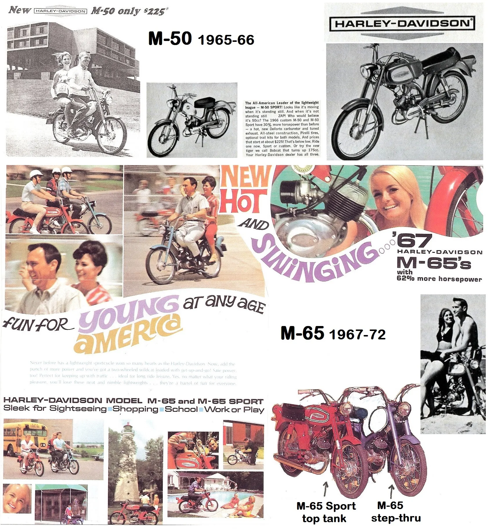 Diagram 1967 Aermacchi Wiring Diagram