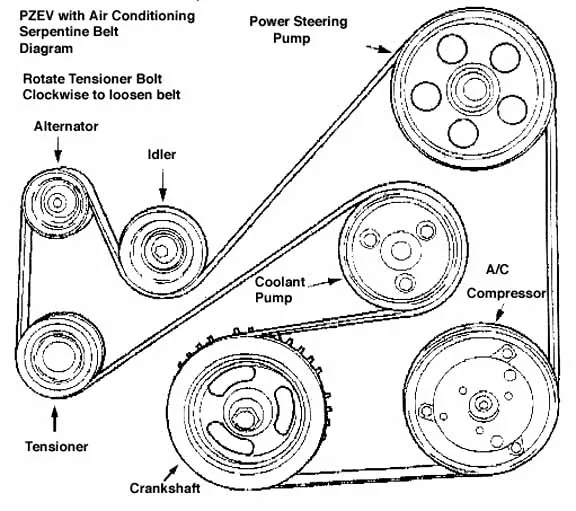 Diagram 2000 Ford Focus Timing Belt Diagram