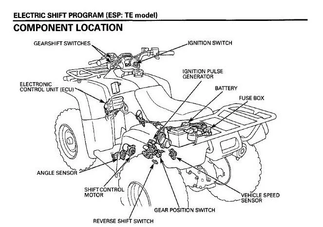 Diagram 2002 Honda Foreman 450 Wiring Diagram