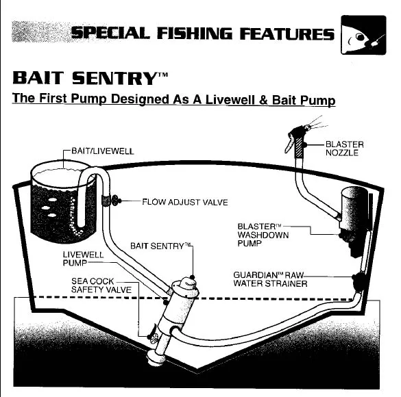 Diagram 2002 Sea Pro Wiring Diagram