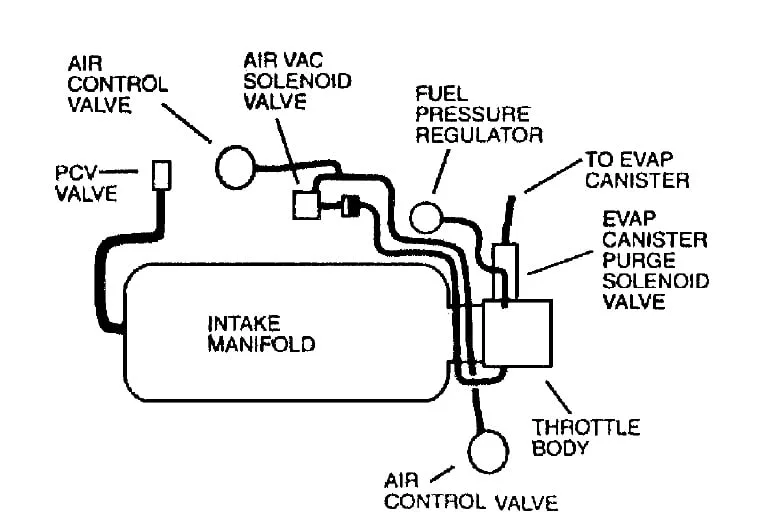 Diagram 2004 Cadillac Deville Evap System Diagram