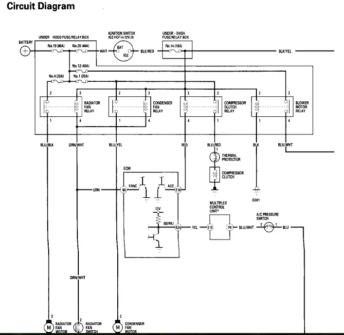 Diagram 2006 Honda Civic A Cpressor Wiring Diagram