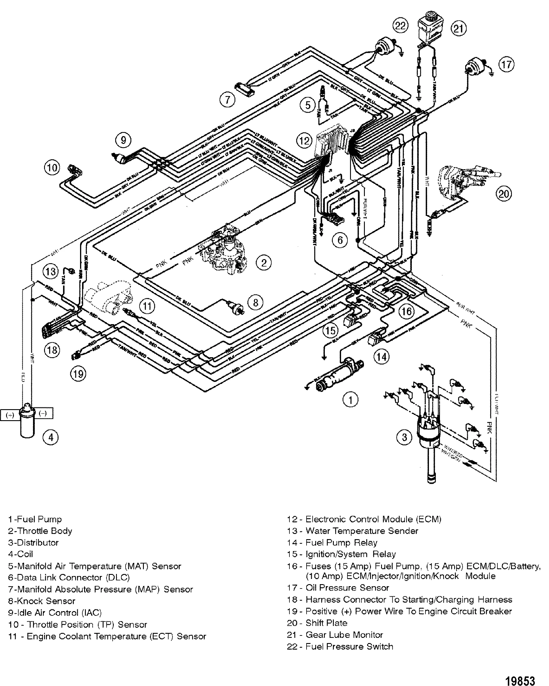 Diagram 262 Mercruiser Vortec Fuel Pump Wiring Diagram