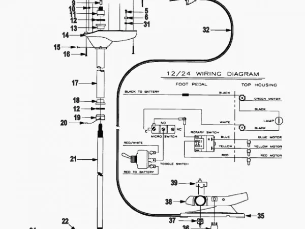 Diagram 30 Twist Lock Receptacle Wiring Diagram