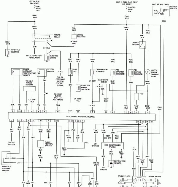 Diagram 89 Tpi Ecm Wiring Diagram Picture