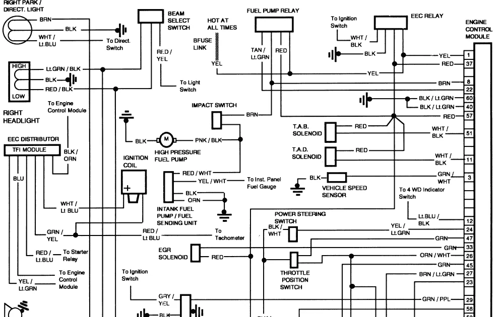 Diagram 91 F150 Wiring Diagram Full Version Hd Quality Wiring Diagram 159 223 119 28