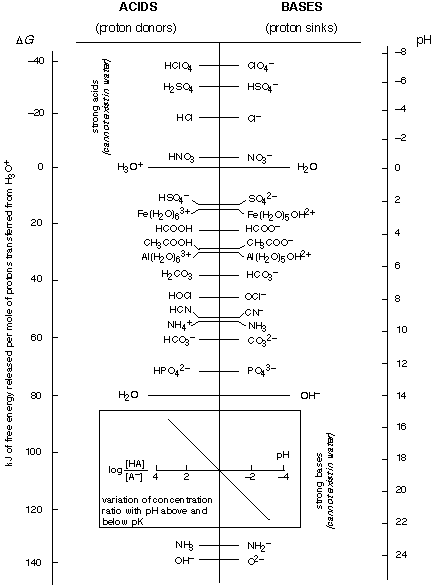 Diagram Acid Base Diagram