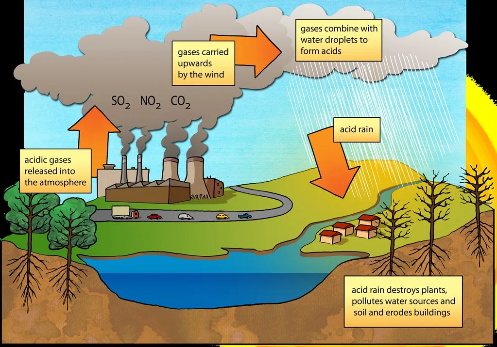 Diagram Acid Rain Easy Diagram