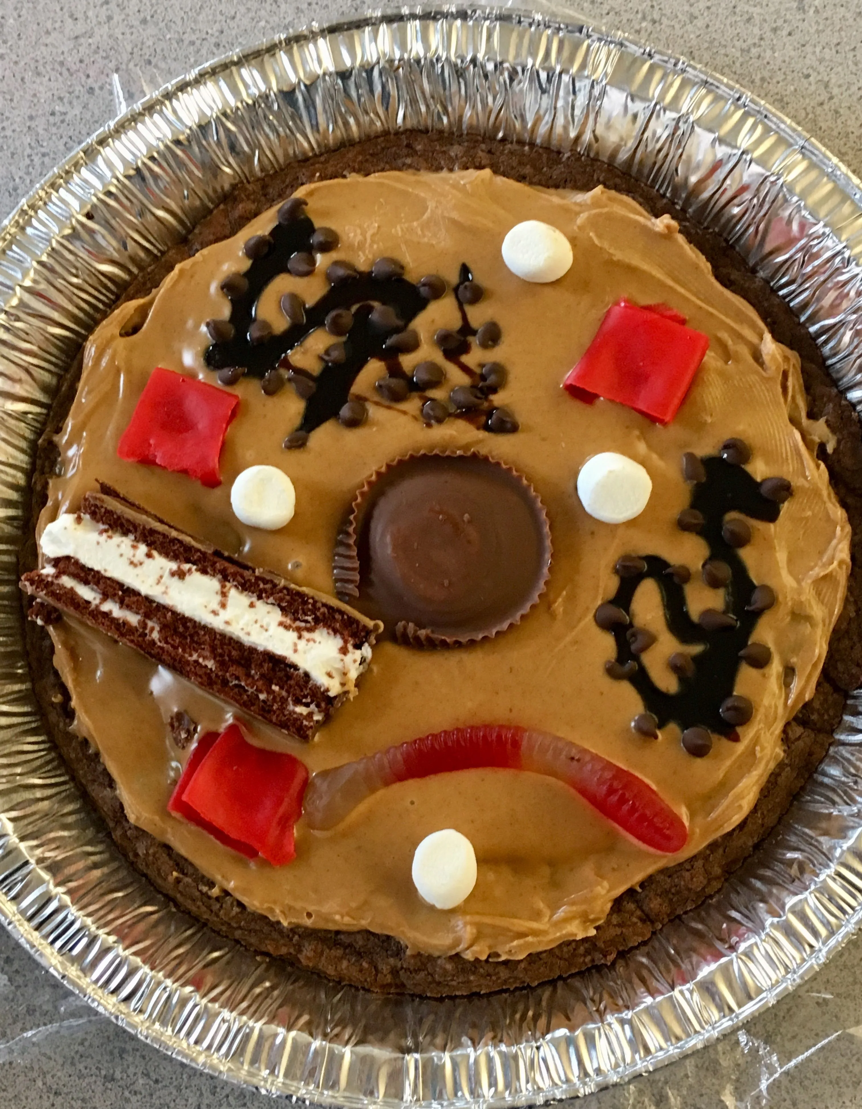 Diagram Diagram Of Cell Organelles Pie