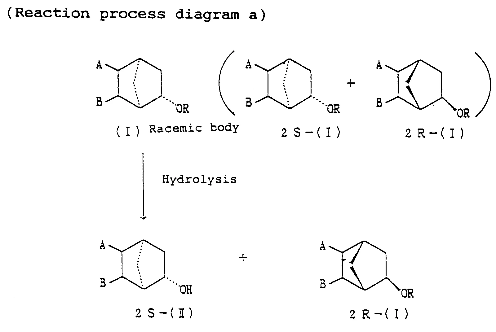 Diagram Enzymatic Hydrolysis Diagram