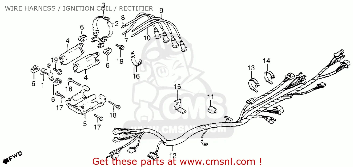 Diagram Epiphone Nighthawk Wiring Diagram