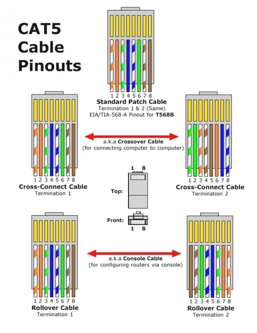 Diagram Female Cat 3 Wiring Diagram