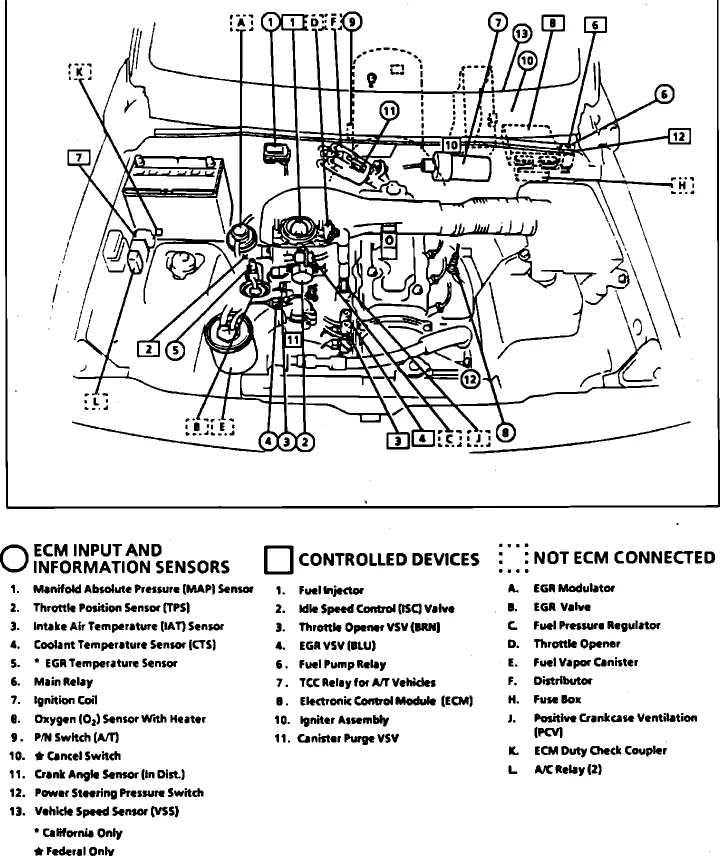 Diagram For A 92 Geo Tracker Wiring Diagram