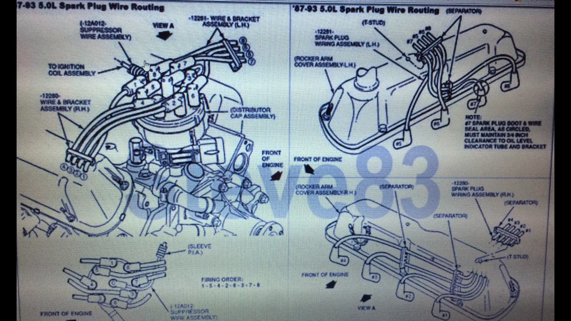 Diagram Ford 302 Spark Plug Wiring Diagram