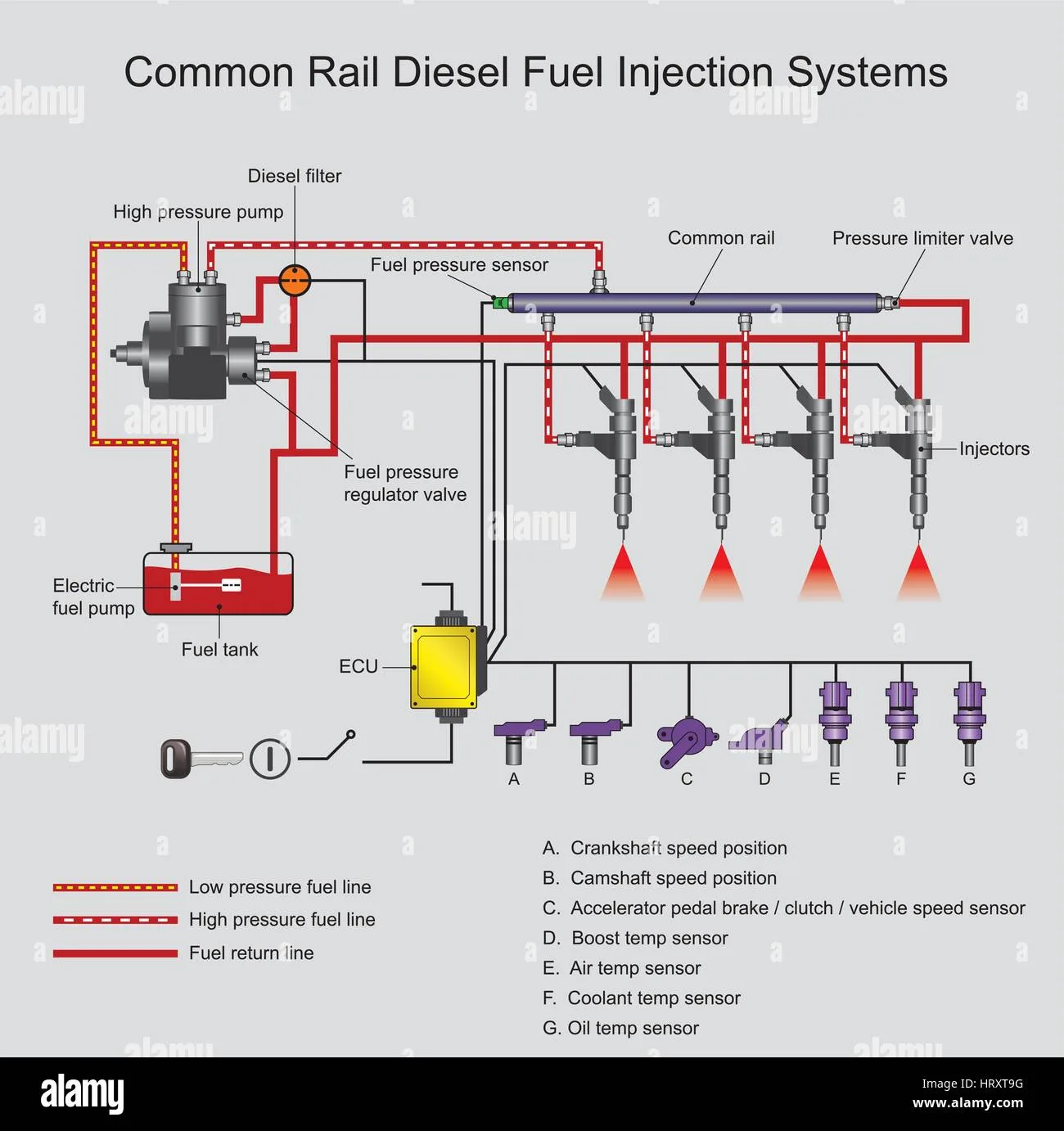 Diagram Ford Tauru Fuel Injection System Diagram