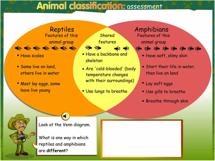 Diagram Genetic Diagram Of Reptiles