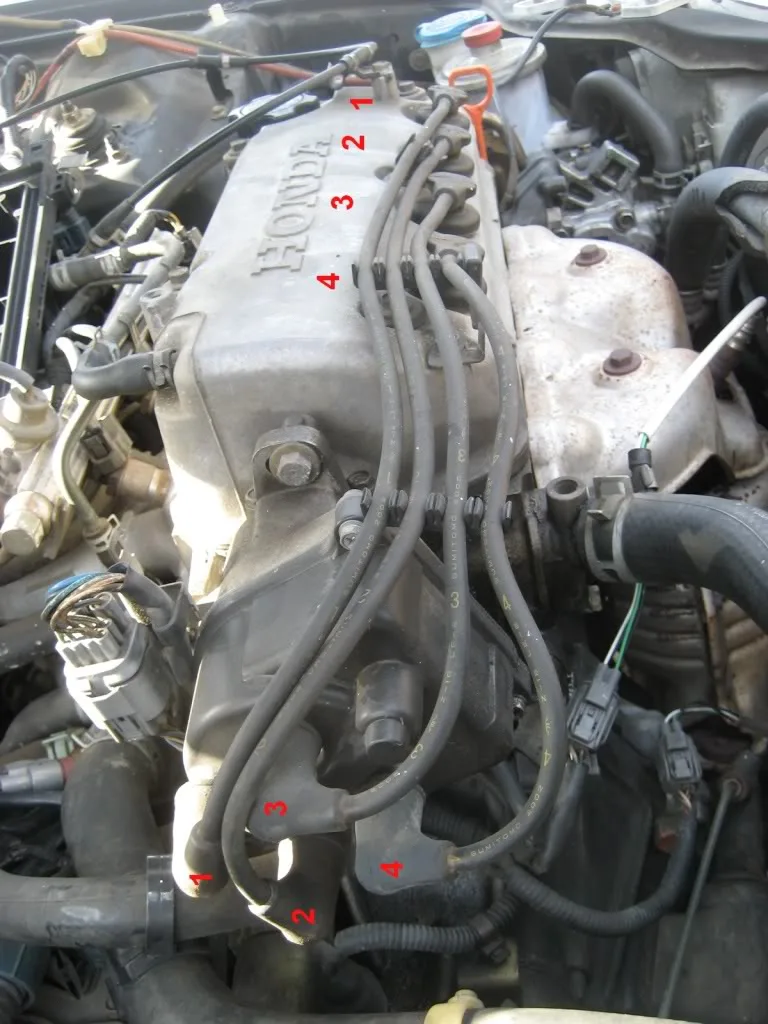 Diagram Honda Civic 1996 Spark Plug Wiring Diagram