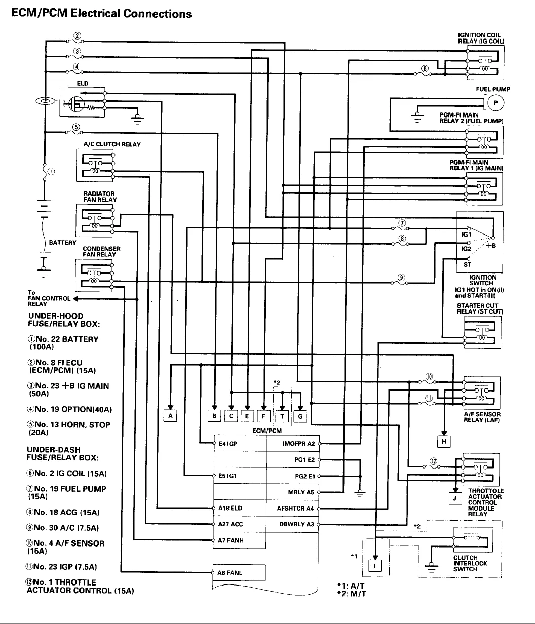 Diagram Honda Wiring Diagram Accord