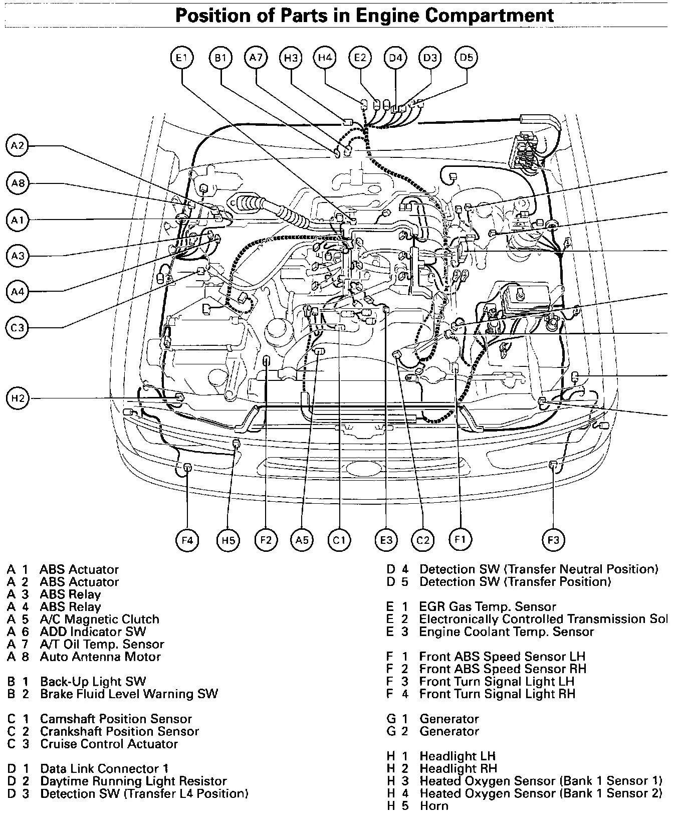 Diagram Injector Wiring Diagram 2000 Toyota Tacoma