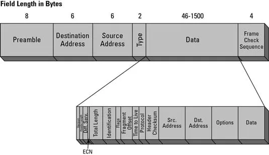 Diagram Ip Packet Diagram