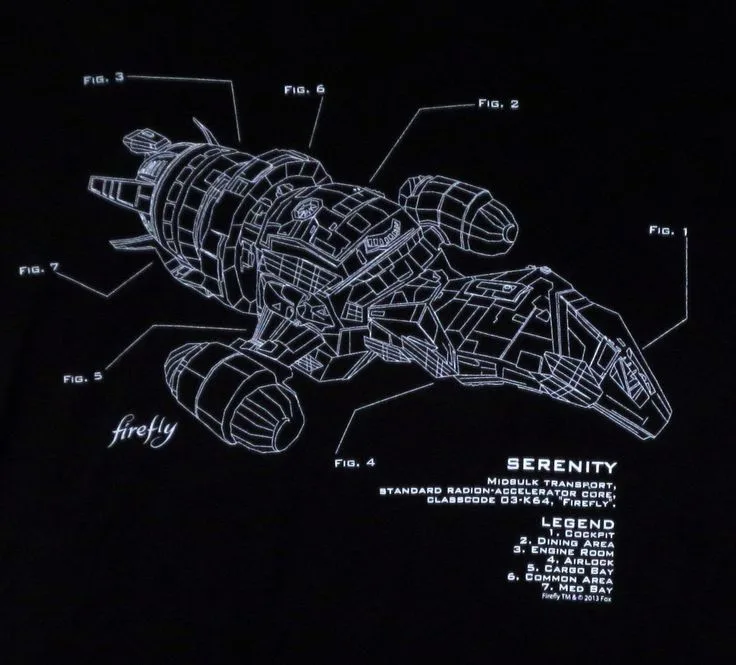 Diagram Labeled Diagram Of A Firefly