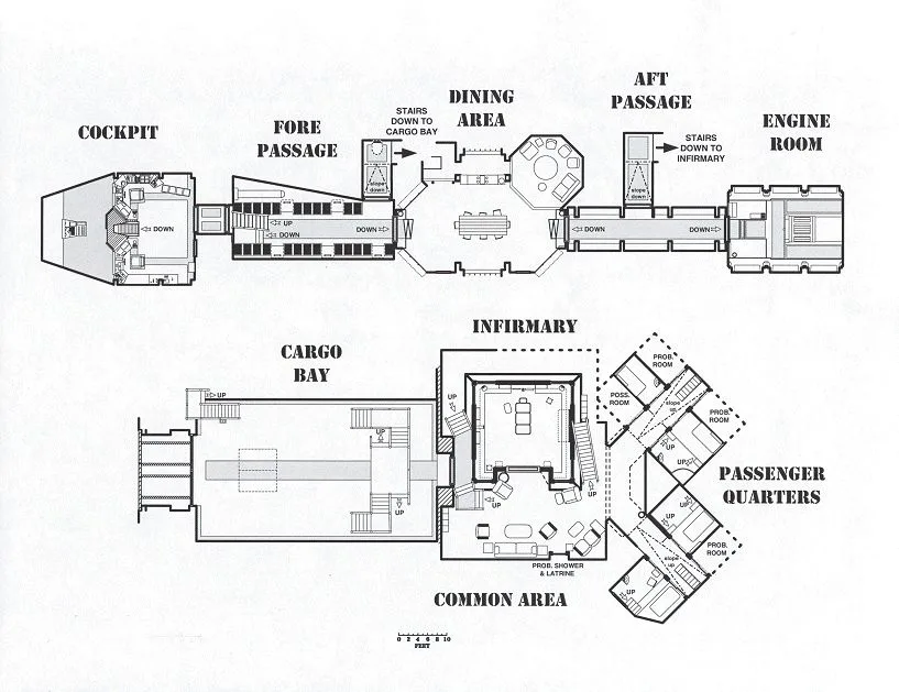 Diagram Labeled Diagram Of A Firefly