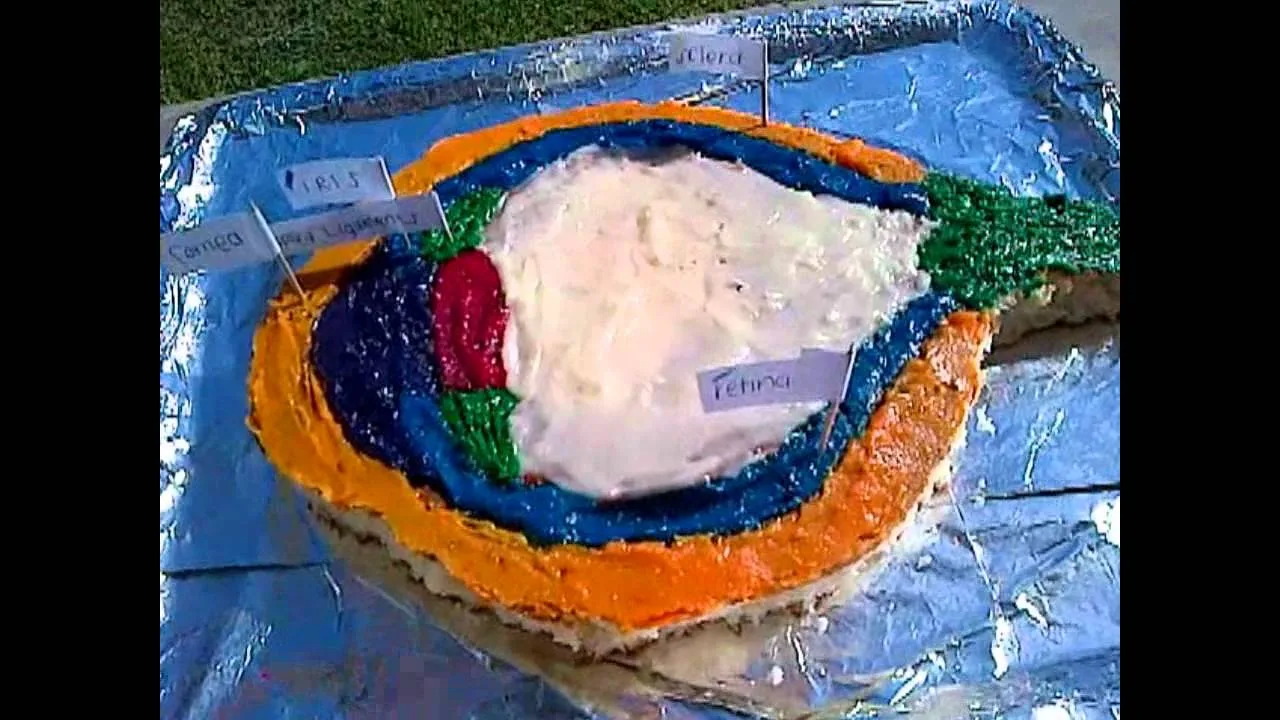 Diagram Layered Cake Diagram