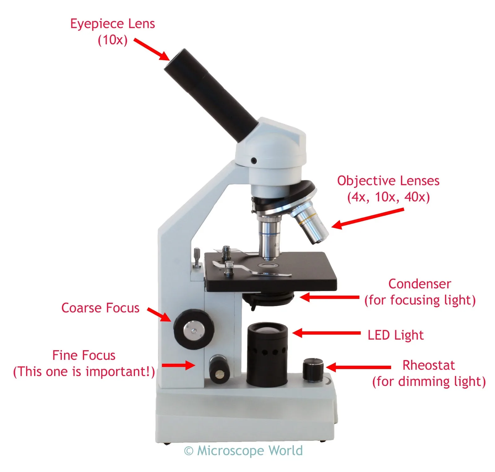 Diagram Leica Compound Microscope Diagram Mydiagram O