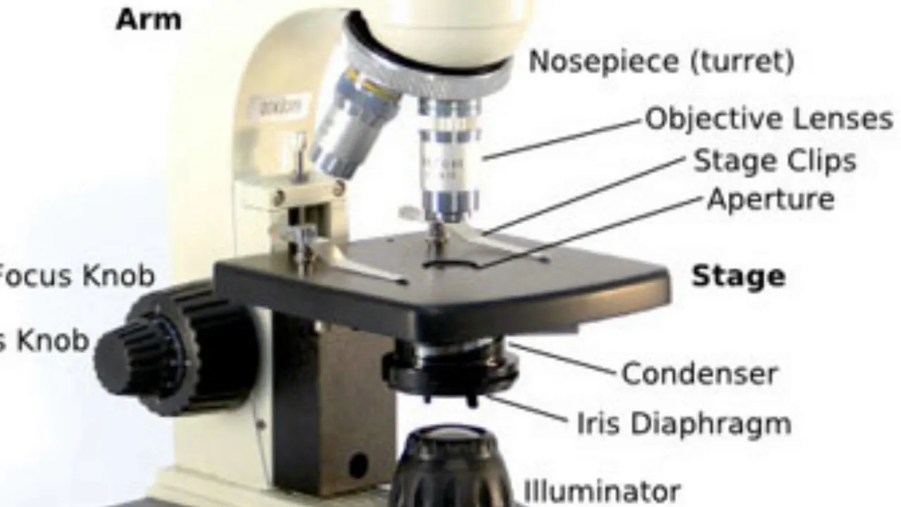 Diagram Leicapound Microscope Diagram