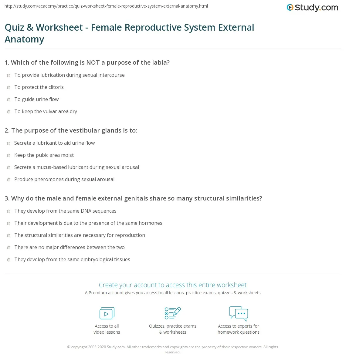 Diagram Male And Female Reproductive System Diagram Quiz