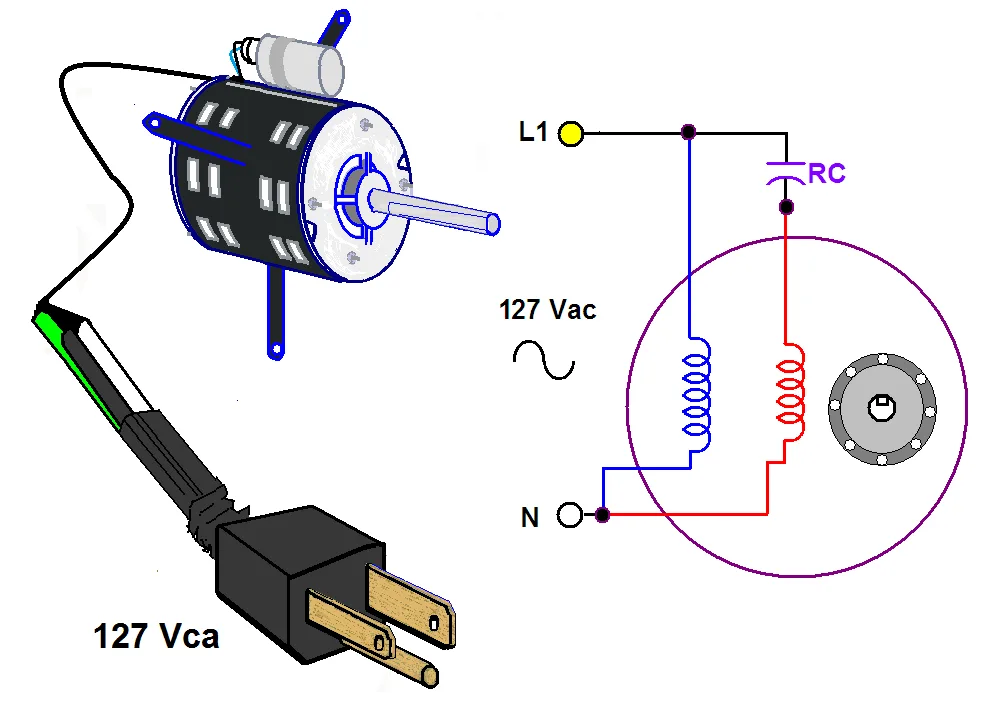 Diagram Marathon Electric Motor 1 2 Hp Wiring Diagram Full Version Hd Quality Wiring Diagram
