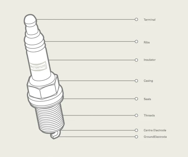 Diagram Motorcraft Spark Diagram