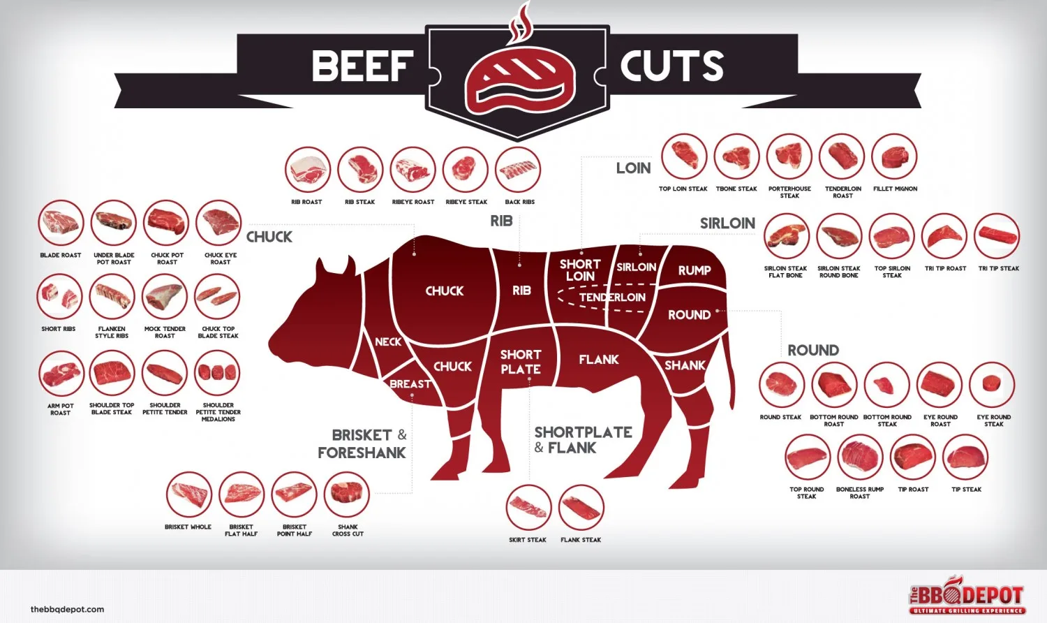 Diagram Of A Beef Cow