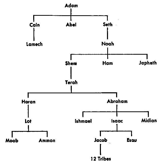 Diagram Of Adam And Eve Family Tree